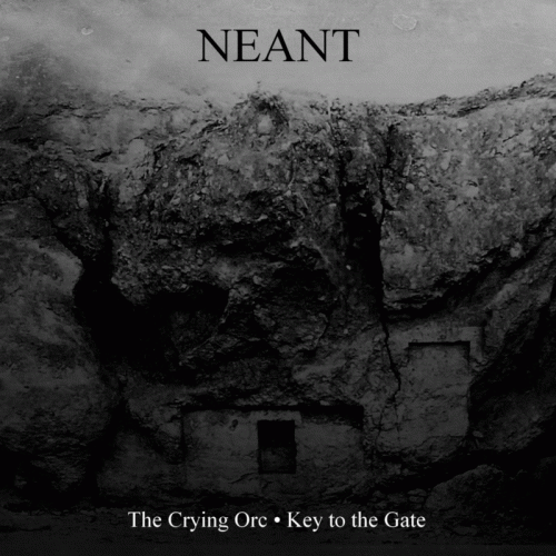 Neant (FRA) : Not Your Average Burzum Tribute